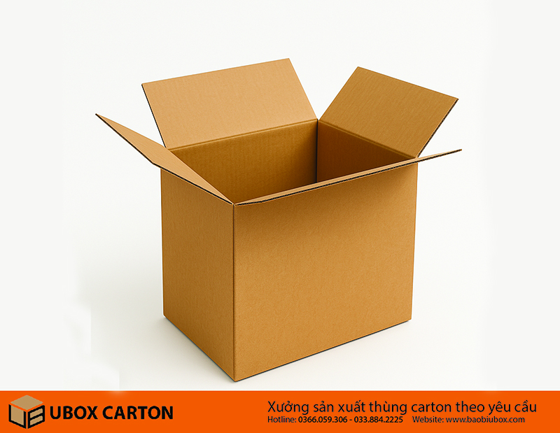 các loại thùng carton chuyển nhà
